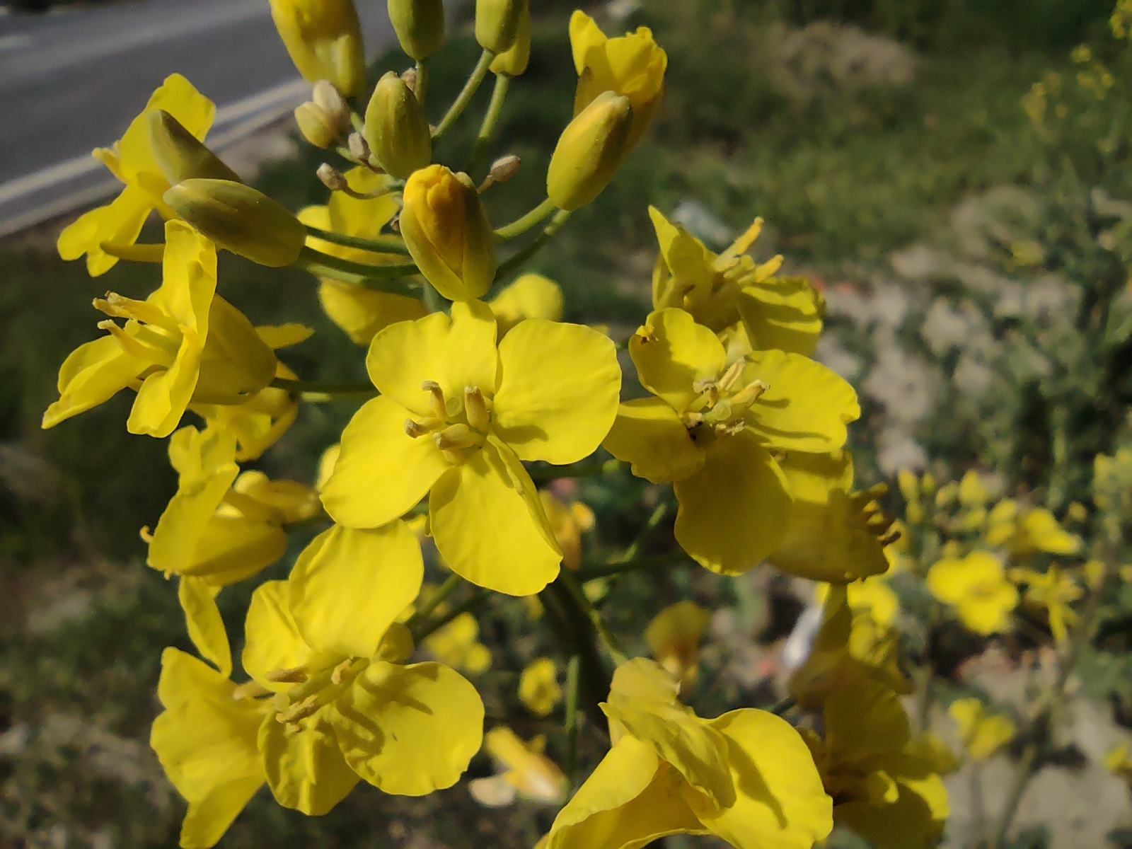 No s'ha trobat l'arxiu